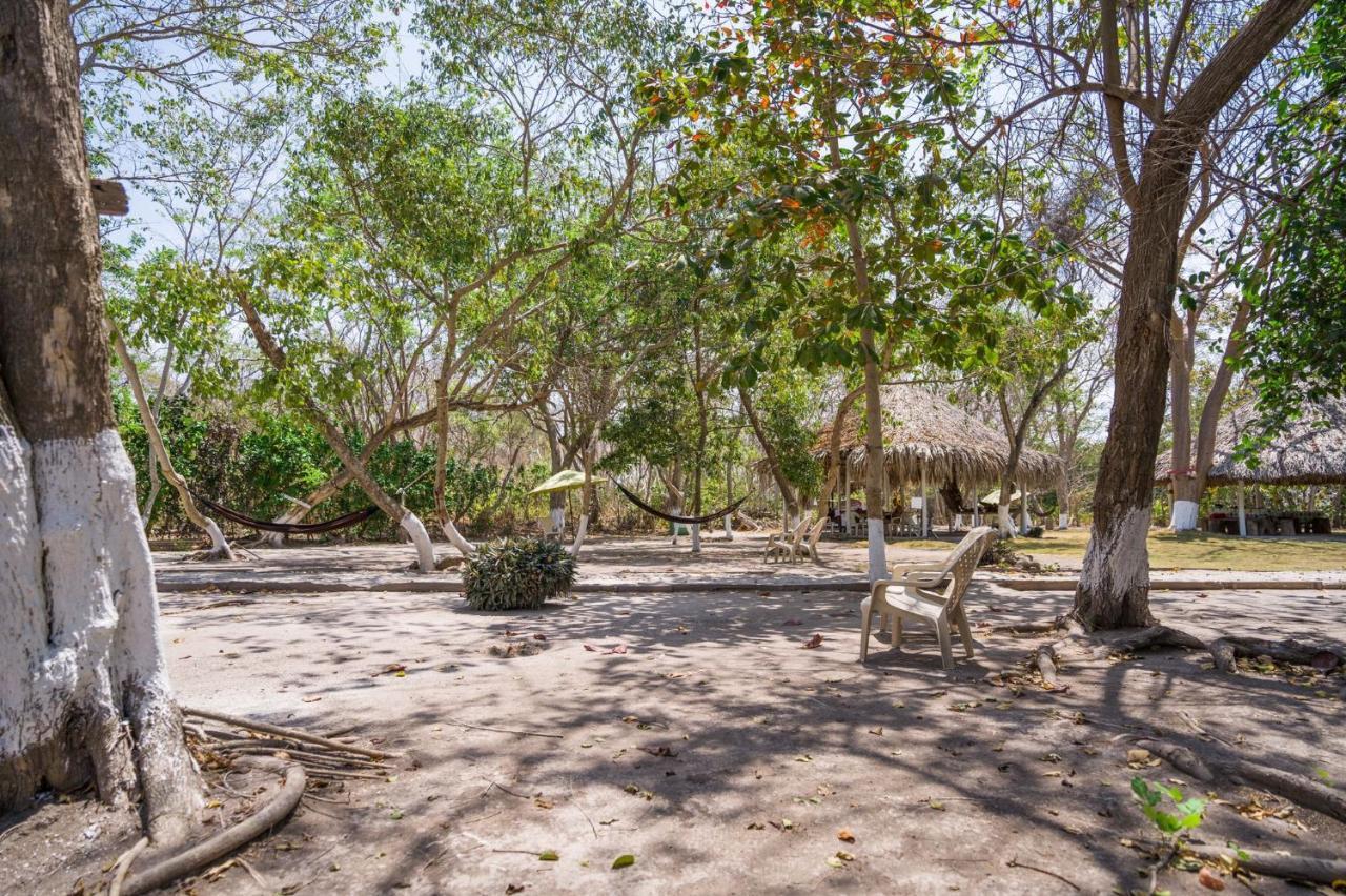 Eco Hotel Bosque Encantado 格兰德岛 外观 照片