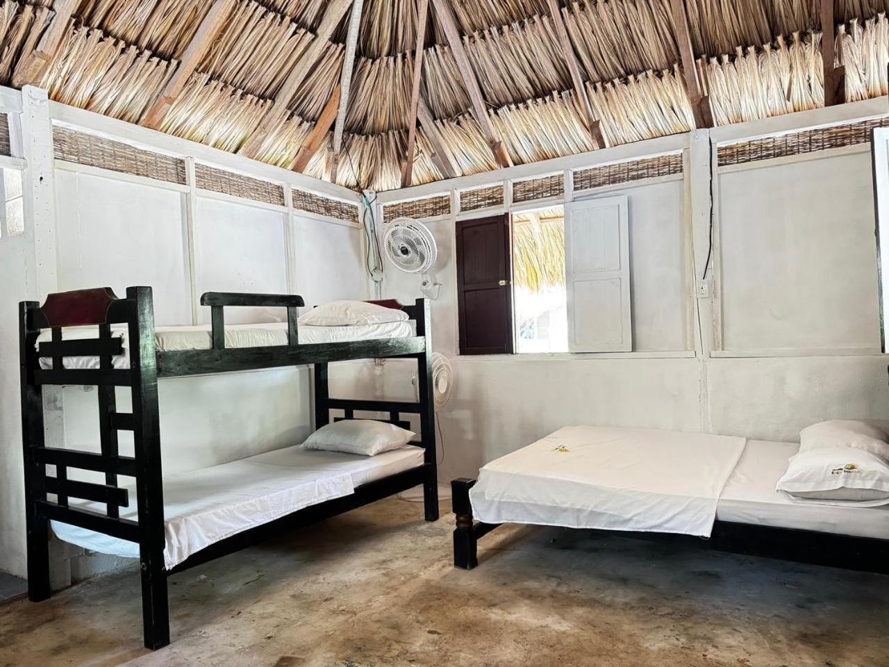 Eco Hotel Bosque Encantado 格兰德岛 外观 照片