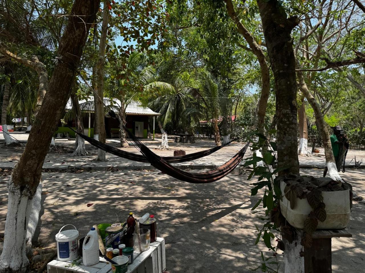 Eco Hotel Bosque Encantado 格兰德岛 外观 照片